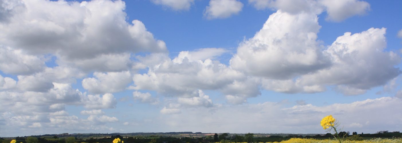 Internet issues affecting phone lines and online services – now resolved