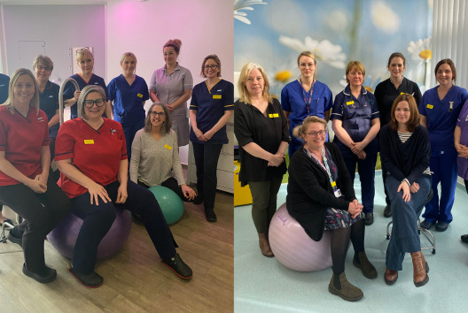 Joint maternity service benefits families across Somerset