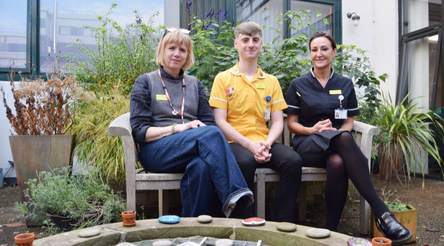 Yeovil dementia garden rated ‘outstanding’ by Royal Horticultural Society