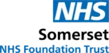 somerset NHS Footer Logo